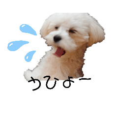 [LINEスタンプ] ren's original stamp