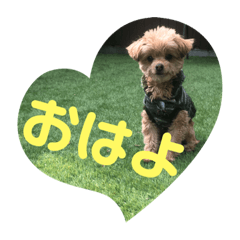 [LINEスタンプ] ロッキー君のデカ文字