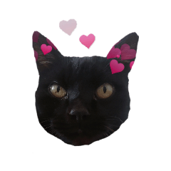 [LINEスタンプ] ジジくんの日常♡