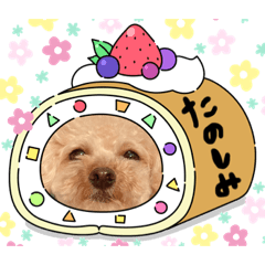 [LINEスタンプ] 渡邉家のろくたん②