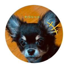 [LINEスタンプ] ユキミンのスタンプ