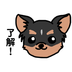 [LINEスタンプ] チワワのこじろうスタンプ