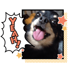 [LINEスタンプ] 元気な初代チャッピー
