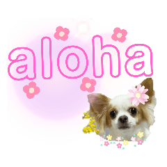 [LINEスタンプ] ほのぼのクーピーのアロハ偏