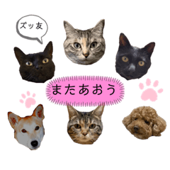 [LINEスタンプ] ずんだ＆フレンズ2   やさしさいっぱい編