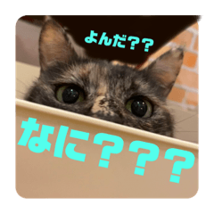 [LINEスタンプ] ぽんちゅ と ちょろ