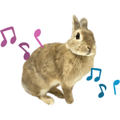 [LINEスタンプ] うさぎのもふもふちゃん
