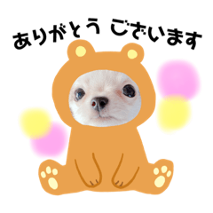 [LINEスタンプ] 幸太郎(コタロウ)スタンプ part2
