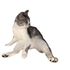 [LINEスタンプ] ぺぺさん脱力