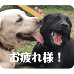 [LINEスタンプ] はるれい 2