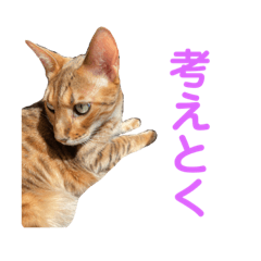 [LINEスタンプ] 親愛なるひろむ