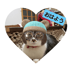 [LINEスタンプ] たまスタイル