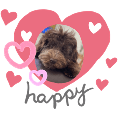 [LINEスタンプ] Australian Labradoodle Lutzの日常5