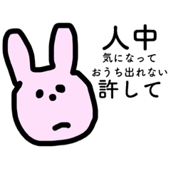 [LINEスタンプ] ぼくはうさぎがすき