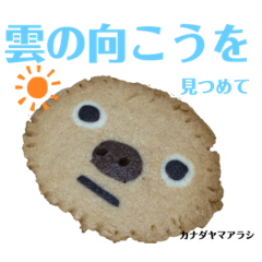 [LINEスタンプ] nanda zoo cookies 特徴