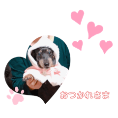 [LINEスタンプ] らんLIFE