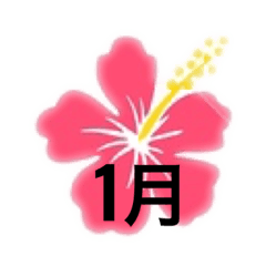 [LINEスタンプ] 月のスタンプをハワイ風