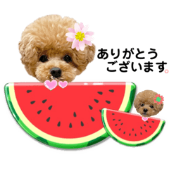 [LINEスタンプ] ペニ子☆日常語⑩