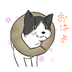 [LINEスタンプ] 玄と米