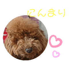[LINEスタンプ] ティナのスタンプ18