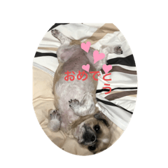 [LINEスタンプ] ミルクの気持ち2