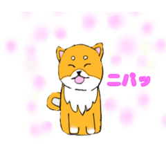 [LINEスタンプ] 柴ちゃんは、表情豊か