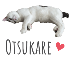 [LINEスタンプ] おにぎり3兄妹の日常 #2