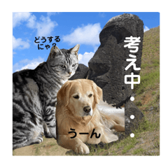 [LINEスタンプ] うちのこスタンプ7