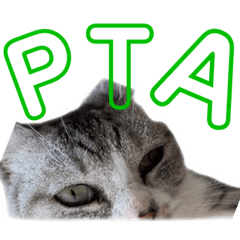 [LINEスタンプ] ぺぺさんより 学校 保護者 PTA 子供会 発言