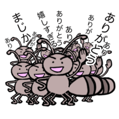 [LINEスタンプ] 感謝する動物たちのスタンプ