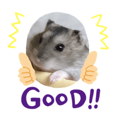 [LINEスタンプ] あんこともちあん