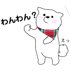 [LINEスタンプ] 白い犬、わんわんのスタンププロジェクト2.