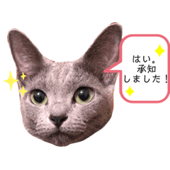 [LINEスタンプ] リフちゃんスタンプ