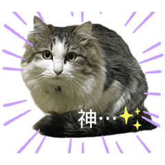 [LINEスタンプ] e.sアニマルズ