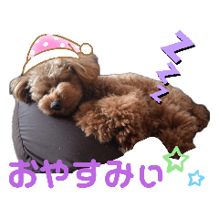 [LINEスタンプ] トイプー結愛の夜