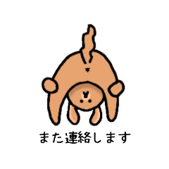 [LINEスタンプ] チワプーの敬語