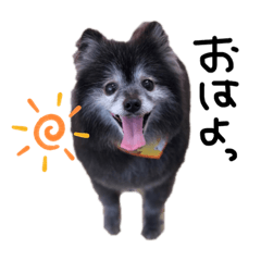 [LINEスタンプ] うめちゃんひめちゃん