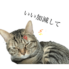 [LINEスタンプ] チョロ＆シャンク