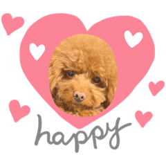 [LINEスタンプ] うめちゃんスタンプ①