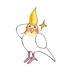 [LINEスタンプ] 「オカメインコです。」