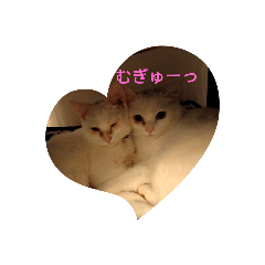 [LINEスタンプ] ハジ＆キリ猫の日常