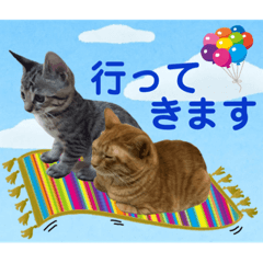 [LINEスタンプ] Johnny ＆ Chocola ❻