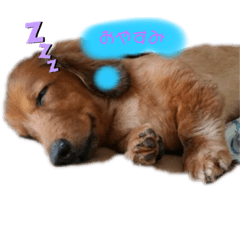 [LINEスタンプ] ジャンのすたんぷ