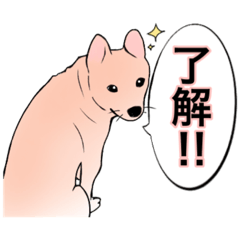 [LINEスタンプ] 豆柴の吹き出しスタンプ♡