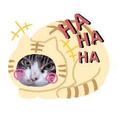 [LINEスタンプ] きんたろうさんのスタンプ