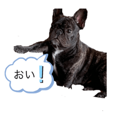 [LINEスタンプ] フレンチブルドッグ おはぎ5