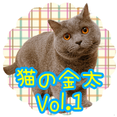 [LINEスタンプ] 猫の金太 Vol.1