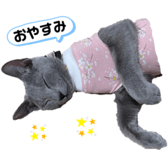 [LINEスタンプ] サラちゃんママ