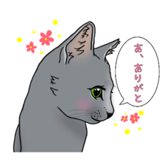 [LINEスタンプ] ロシアンブルーのリフちゃん