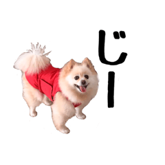 [LINEスタンプ] 対決・ライオン編